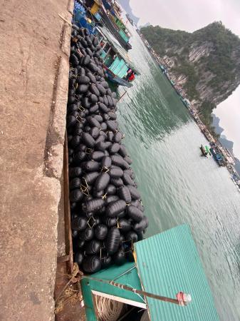 Phao nuôi hàu HDPE cỡ nhỏ 2.65kg